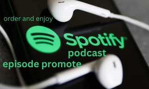 DigitalSuccessBoost-Best SEO Backlink Spotify Promote Or Link Builder Company In Kushtia Bangladesh